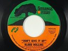70s Soul 45 - Blood Hollins - Don't Give It Up - Strange Fruit - VG++ mp3