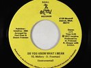 70s Soul 45 - Jimmie Delphs - Do You Know What I Mean - D.S.S.I. Mano - VG+ mp3