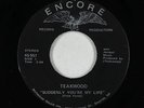 70s Soul 45 - Teakwood - Suddenly You're My Life - Encore - mp3