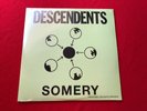 Descendents SOMERY 2x LP NEW SST milo goes to college enjoy all fat black flag
