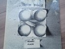 Satin Whale - Desert Places - Brain Metronome Records - (1974) - Schallplatte LP