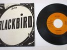 BLACKBIRD DIRTY DAN/ AM I GONNA LOSE HER 45 +PS Rare Private 70s Glam Power Pop