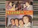 Los Cachorros De Juan Villarreal - Dados Cargados