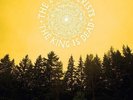 The Decemberists The King Is Dead Records & LPs New