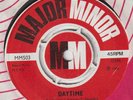 Darwin's Theory Daytime Major Minor MM503 VG+