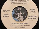 BRIAN BABCOCK / CIRCLE OF SOUND Christmas 45 C.B. Santa / Donde Esta Santa Claus
