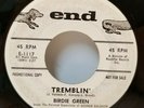 BIRDIE GREEN Tremblin / How Come PROMO 45 RPM - Play Tested VG *D1