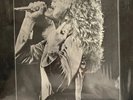 led zeppelin vinyl kashmir In Plastic Case