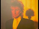 ROD STEWART Tonight I'm Yours LP 1981 1st BSK 3602 - NM & SEALED     YOUNG TURKS