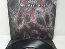 LP METAL Dead Congregation – Graves Of The Archangels ANTIGOTH080 Us 2008