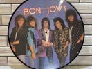 Bon Jovi Slippery When Wet Picture Disc LP Vinyl Record Album