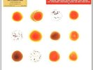 Peter Gabriel: Scratch My Back And Ill Scratch Yours (180g) -   - (Vinyl / Rock