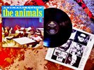 SHRINK  1966 MONO Orig THE ANIMALS ANIMALIZATION Beat Garage FUZZ PUNK RAVE UP