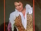 Elvis Presley – From Las Vegas... To Niagara Falls  2 LP LMTD RARE VG+