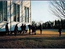 Cowboy Junkies - The Caution Horses - New Vinyl Record - Z7351A