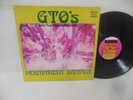 GTO'S (GIRLS TOGETHER OUTRAGEOUSLY)  nr mint vinyl lp PERMANENT DAMAGE