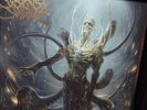 Signs Of The Swarm 