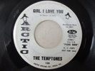 RARE NORTHERN SOUL THE TEMPTONES ( GIRL, I LOVE YOU / GOOD - BYE ) on ARTIC