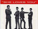 The Beatles - She Loves You 45 rpm Picture Sleeve Swan S-4152 [Sleeve Only]