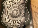 THE POLICE   ROXANNE   BADGE SHAPED PROMO PICTURE DISC    1979
