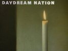 SONIC YOUTH - DAYDREAM NATION NEW VINYL
