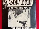SEALED Prof James Benson GOW DOW EXPERIENCE LP Private Jazz Funk Afro 1973
