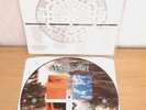 Marillion-Season's End-1989 UK Ltd  Vinyl LP Picture Disc EX+ Prog- Played Once