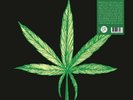 Cannabis - Joint Effort [New Vinyl LP]