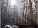 The Cure 12