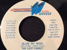 Northern/modern Soul 7”the Lost Family Blow My Mind