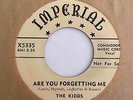 Doo Wop R&B 45 THE KIDDS Are You Forgetting Me/Drunk (x3) Imperial NM RARE Hear