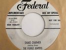 Mod Surf Exotica Tittyshaker Instro 45 THE PUDDLE JUMPERS Snake Charmer/Mud HEAR