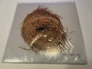 A Ghost Is Born by Wilco (180g Vinyl 2LP), 2005, Rhino Jeff Tweedy