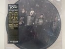 MY CHEMICAL ROMANCE  THE BLACK PARADE  PICTURE DISC VINYL LP FACTORY SEALED MINT