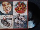 SCHOOL OF FISH 