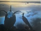 ROXY MUSIC-Avalon Masterdisc 1982 LP