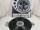 Rabbit In The Moon Remixes Vol 1 White Zombie Orbital Electronic 3 LPs
