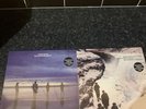 Porcupine by Echo & the Bunnymen And Heaven Up Here Both Sealed