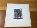 TALK TALK:   SPIRIT OF EDEN   Original Issue 1988 Vinyl LP.  VG Plus Condition.
