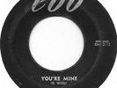 ROBERT WILLIS You're Mine on Ebb R&B rocker Chick WIllis 45 HEAR