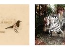 La Dispute - Somewhere At The Bottom & Wildlife Vinyl Bundle Brand New Sealed