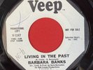 Barbara Banks - LIVING IN THE PAST / RIVER OF TEARS - Veep 1247 WLP DJ Promo