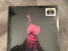 Passion Pain and Demon Slayin Vinyl Kid Cudi