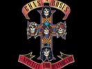 Guns n' Roses: Appetite For Destruction  LP vinyl *SEALED*