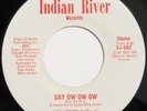 disco funk boogie 7” VAN JONES & The Js Let’s Go Say Ow HEAR Indian River 1979 N