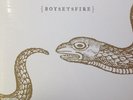 Boy Sets Fire - Same LP TOOL QUICKSAND CHUCK RAGAN POISON THE WELL NATHAN GRAY