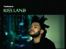 The Weeknd Kiss Land - Seaglass Color Vinyl Record - 2x LP  - 5th Anniversary