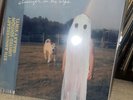 Phoebe Bridgers Stranger In The Alps 5th Anniversary Galaxy Vinyl LP SOLD OUT