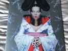 BJÖRK- Homogenic. NEW SEALED 12