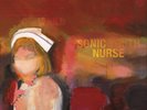 Sonic Youth Sonic Nurse  (Vinyl)  12